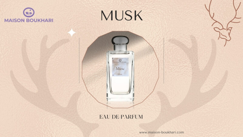 parfum musc 50ml