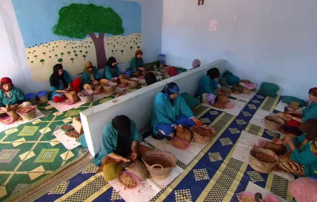 femmes travaillant dans une cooperative d huile d argan a essaouira