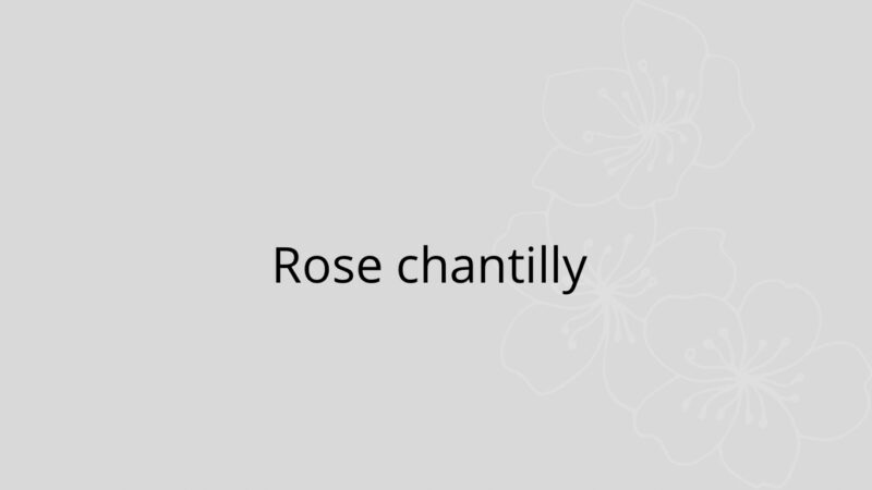 diffuseur d'ambiance de la rose chantilly 50ml